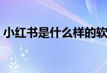 小紅書是什么樣的軟件(小紅書是什么軟件)