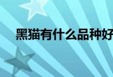 黑貓有什么品種好看（黑貓有什么品種）