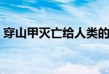 穿山甲滅亡給人類的影響（穿山甲滅絕了嗎）