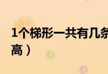 1個梯形一共有幾條高?（1個梯形一共有幾條高）