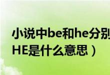 小說中be和he分別是什么意思（小說里BE和HE是什么意思）