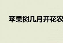 蘋(píng)果樹(shù)幾月開(kāi)花農(nóng)歷（蘋(píng)果樹(shù)幾月開(kāi)花）