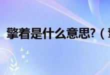 擎著是什么意思?（擎著的意思是什么意思）