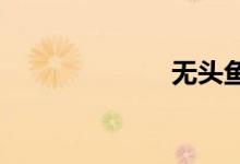 無(wú)頭魚是什么魚