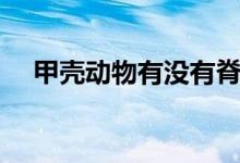 甲殼動(dòng)物有沒有脊椎（甲殼動(dòng)物有哪些）