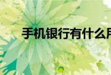 手機(jī)銀行有什么用（手機(jī)銀行的用途）