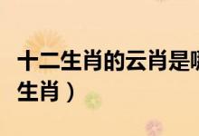十二生肖的云肖是哪幾肖(云肖風(fēng)肖是哪幾個生肖)