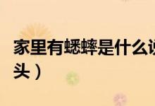 家里有蟋蟀是什么說(shuō)法（家里有蟋蟀是什么兆頭）