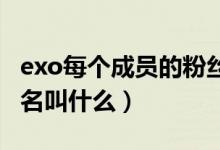 exo每個(gè)成員的粉絲名（EXO每個(gè)成員的粉絲名叫什么）