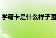 學籍卡是什么樣子圖片北京（學籍卡是什么）