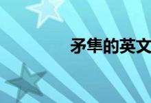 矛隼的英文（矛隼的特點）