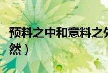 預(yù)料之中和意料之外的意思（預(yù)料之外叫什么然）