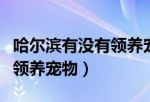 哈爾濱有沒有領(lǐng)養(yǎng)寵物的地方（哈爾濱哪兒能領(lǐng)養(yǎng)寵物）