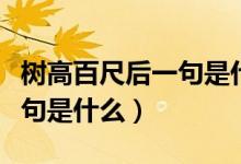 樹高百尺后一句是什么一年級(jí)（樹高百尺后一句是什么）