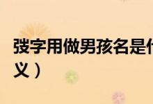 弢字用做男孩名是什么意思（弢字取名什么意義）