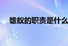 雄蟻的職責(zé)是什么（雄蟻的職責(zé)是什么）