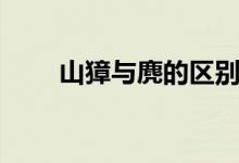 山獐與麂的區(qū)別（山獐與麂子區(qū)別）