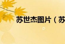 蘇世杰圖片（蘇世杰是誰什么人物）