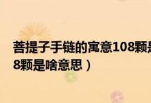 菩提子手鏈的寓意108顆是什么意思（菩提子手鏈的寓意108顆是啥意思）