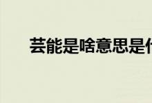 蕓能是啥意思是什么（蕓能界是什么）