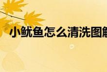 小魷魚怎么清洗圖解（小魷魚怎么清洗呀）