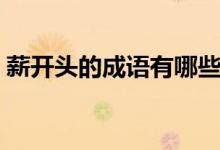 薪開頭的成語有哪些（薪開頭的成語有哪些）