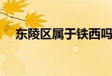東陵區(qū)屬于鐵西嗎（東陵區(qū)屬于哪個(gè)區(qū)）
