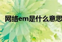 網(wǎng)絡(luò)em是什么意思（網(wǎng)絡(luò)em是什么意思）