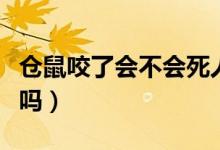 倉鼠咬了會不會死人（倉鼠咬了人三天就會死嗎）