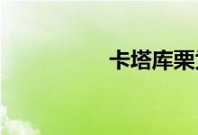 卡塔庫栗為什么叫卡二