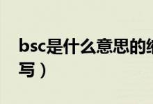 bsc是什么意思的縮寫（bsc是什么意思的縮寫）