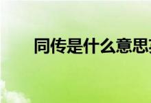 同傳是什么意思英文（同傳是什么_）