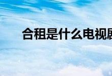合租是什么電視?。ê献馐鞘裁匆馑迹?class=
