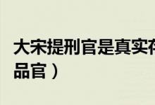 大宋提刑官是真實(shí)存在的嗎（大宋提刑官是幾品官）