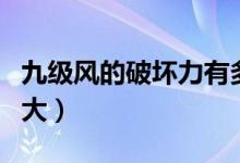 九級風的破壞力有多強（九級風的破壞力有多大）
