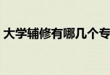 大學(xué)輔修有哪幾個專業(yè)（大學(xué)輔修有必要嗎）
