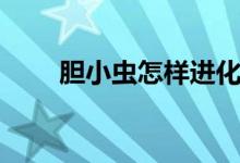 膽小蟲怎樣進(jìn)化（膽小蟲怎么進(jìn)化）