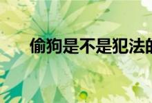 偷狗是不是犯法的（偷狗是犯法的嗎）