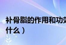 補骨脂的作用和功效（補骨脂的作用和功效有什么）
