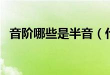音階哪些是半音（什么是半音階怎樣理解）