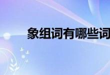象組詞有哪些詞語（象組詞有哪些）