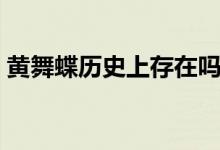 黃舞蝶歷史上存在嗎（黃舞蝶是誰(shuí)歷史有嗎）