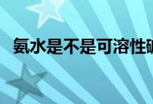氨水是不是可溶性堿（氨水是不是電解質(zhì)）