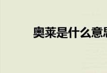 奧萊是什么意思（al是什么意思）