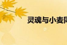 靈魂與小麥同眠意味著什么?
