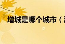 增城是哪個城市(浙c是哪個城市的牌照)