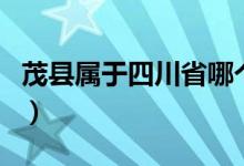 茂縣屬于四川省哪個市（茂縣屬于四川哪個市）