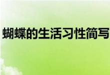 蝴蝶的生活習(xí)性簡(jiǎn)寫(xiě)10字（蝴蝶的生活習(xí)性）