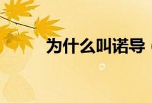 為什么叫諾導(dǎo)（為什么叫諾天王）