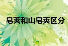 皂莢和山皂莢區(qū)分（皂莢和山皂莢的區(qū)別）